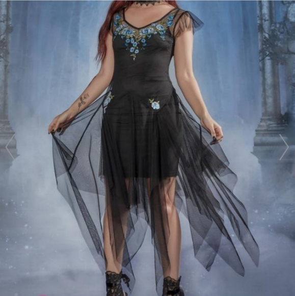 Dolls Kill Dresses & Skirts - Rare Dolls Kill Widow LOVE POTIONED SHEER EMBROIDERED DRESS